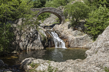 Fototapeta na wymiar Alte Steinbrücke über ein Flüsschen in Südfrankreich