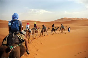 Fototapeten Caravan going through the sand dunes in the Sahara Desert, Morocco - Merzuga - tourist visit the desert  on camels during the holidays - adventure and freedom during a trip , safari - organized travel © andrea