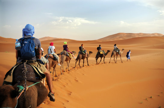 Caravan going through the sand dunes in the Sahara Desert, Morocco - Merzuga - tourist visit the desert  on camels during the holidays - adventure and freedom during a trip , safari - organized travel