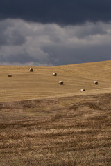 Obraz premium Six Bales- A dreamy landscape of blue, cloud filled skies and rolling, sunlit barley fields. Five bales of straw lay atop the freshly cut fields. Tuscany, Italy