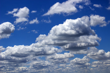 Obraz premium Huge clouds, fly in a row under the blue sky