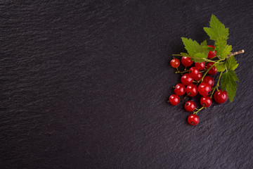 Fresh red currants on black slate background.