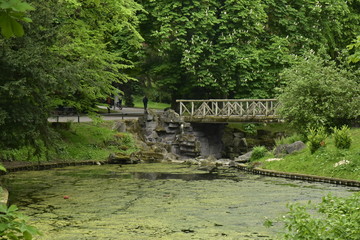 Nénuphar et mousse verdâtre devant le pont rustique au parc Josaphat à Schaerbeek 