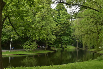 Fototapeta premium Reflet de la nature luxuriante au printemps dans l'étang principal du parc Josaphat à Schaerbeek 
