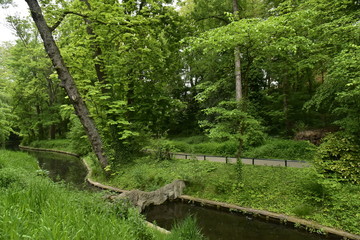 Fototapeta na wymiar Le ruisseau sous la nature luxuriante du printemps au parc Josaphat à Schaerbeek 