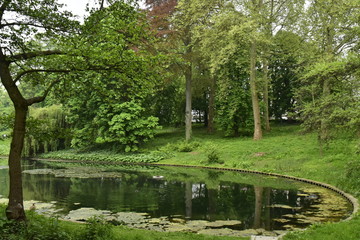 Fototapeta na wymiar Extrémité d'un des étangs au milieu de la végétation luxuriante du parc Josaphat à Schaerbeek 