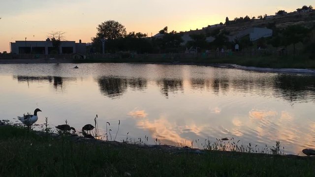 Aşık Veysel Rekreasyon Alanı G&ouml;leti ve G&uuml;nbatımı Bornova, Izmir Sunset