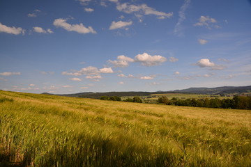 Fototapeta na wymiar Blick über Felder