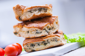 Pie with meat and fresh vegetables on plate 