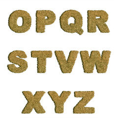 Dried Grass Letters Alphabet O to Z