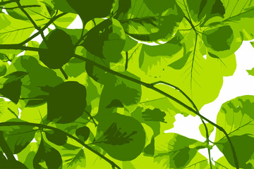 Fresh green leaves. Natural background. Vector illustration.