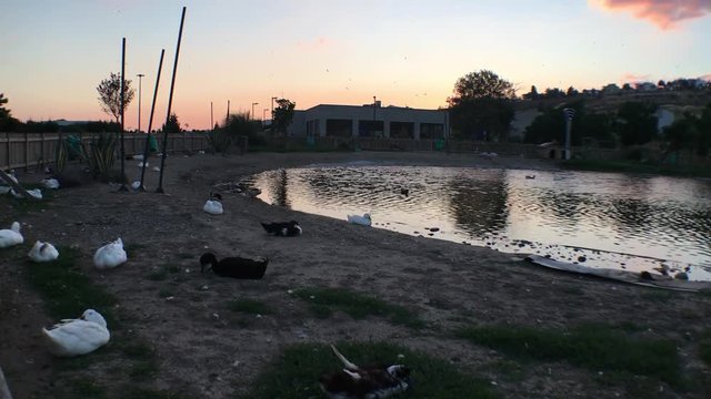 Aşık Veysel Rekreasyon Alanı G&ouml;leti ve G&uuml;nbatımı Bornova, Izmir Sunset