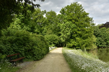 Fototapeta na wymiar Chemin longeant l'étang principal au milieu de la nature luxuriante du Jardin Botanique National de Belgique à Meise