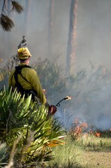 Prescribed burn fire setting