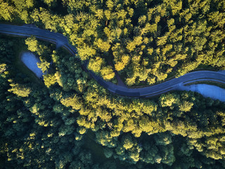 Top view of the path through the trees. View from balloon. Road view from above taken by quadrocopter