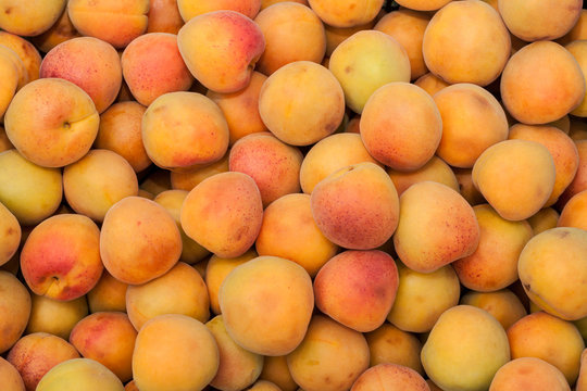 Fresh apricots view from the top