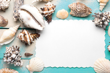Marine summer postcard. Seashells on turquoise wooden boards in the sand on the beach