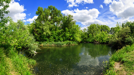 panorama river and green with trees and blue sky with clouds sunny day, beautiful rural landscape