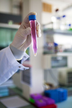 BIOPRINTING