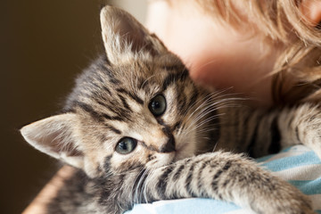 kitten on the shoulder of the boy outdoors