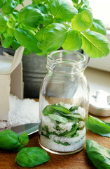 Frische Basilikumblätter unter Salz