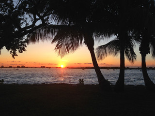 Beautiful Sunset in Miami