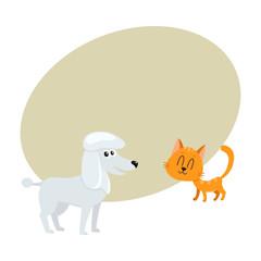 poodle dog dog and red cat, kitten characters, pets, friendship concept, cartoon vector illustration with space for text. poodle dog dog and red cat characters, friends