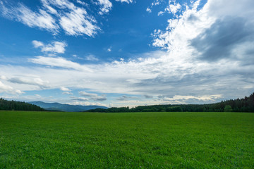 Silence on a lonely green meadow under blue sky in the middle of the forest