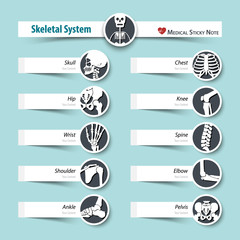 Skeletal System . medical sticky note style . flat design .
