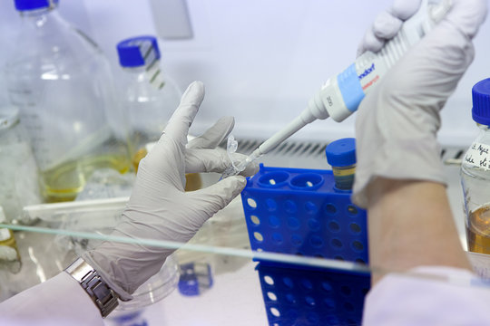 CANCER RESEARCH