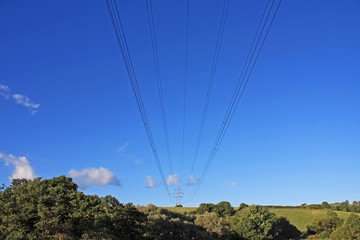 Pylon annd cables