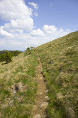 Hikers path on Velebit, mountain in Croatia