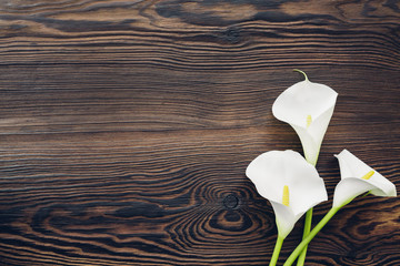 White calla flowers on wooden background, top view. Empty space for text - obrazy, fototapety, plakaty