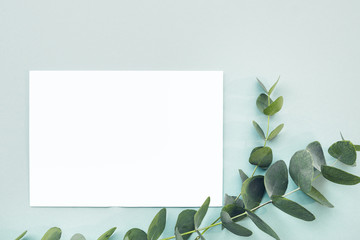 flat lay eucalyptus branches and blank white sheet on blue background, top view. mock up