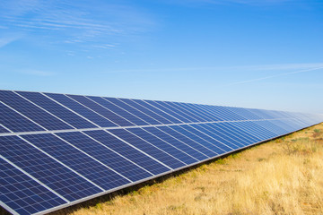 Solar Panel Array
