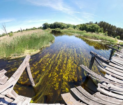 Unusual view of the old wooden bridge and Uday river near the Kaplyntsi village, National Nature Park "Pyriatynsky", Poltava region, Ukraine