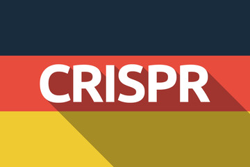 Long shadow Germany flag with  the clustered regularly interspaced short palindromic repeats acromym CRISPR