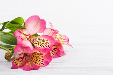 Alstromeria flowers on wooden background