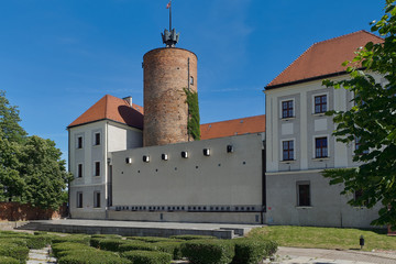 Głogów, Zamek Książąt Głogowskich