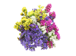 Obraz premium スターチスの花束