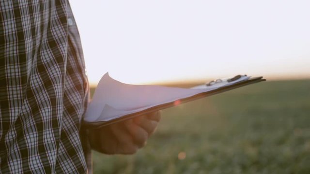 Agronomist on a background of green fields writes something in a notebook at sunset