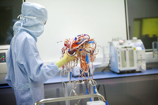 STEM CELL BIOBANK