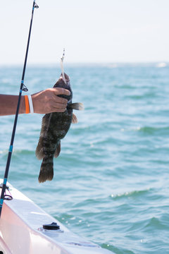 Fishing for Tautog on the boat