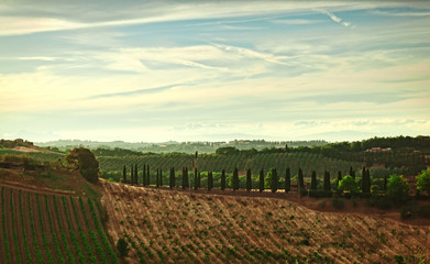 Fototapeta na wymiar Panorama of the hills of San Gimignano, small medieval village in Tuscany, Italy.