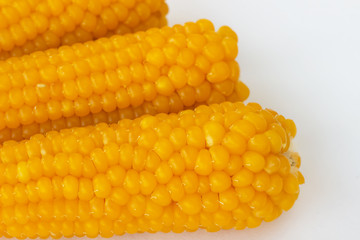 Corn cobs close up on white background