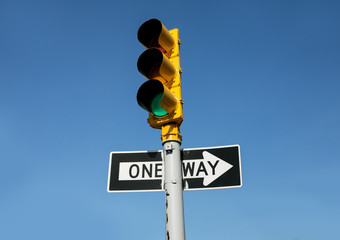 Traffic light and One Way road sign