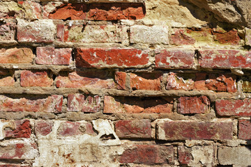 Wall of red brick.