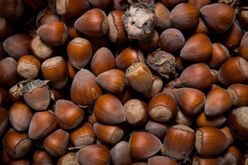 bunch of hazelnuts useful as a background
