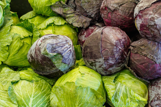 Fresh Cabbage at a Farmers Market