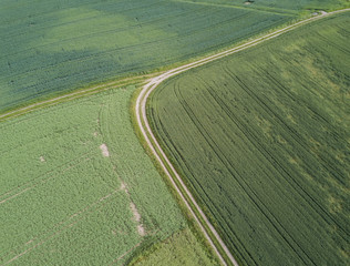 Aerial view of road in green fields